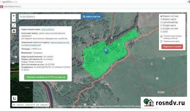 Участок СНТ, ДНП 1160 сот. на продажу в Краснознаменске Калининградской области Краснознаменск - изображение 1