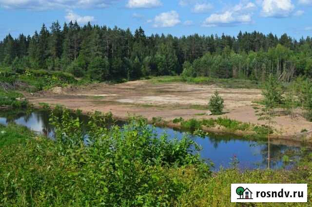 Участок СНТ, ДНП 8 сот. на продажу в Рощино Ленинградской области Рощино - изображение 1