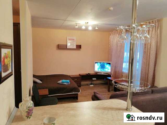 Квартира-студия, 36 м², 1/5 эт. в аренду посуточно в Петрозаводске Петрозаводск - изображение 1