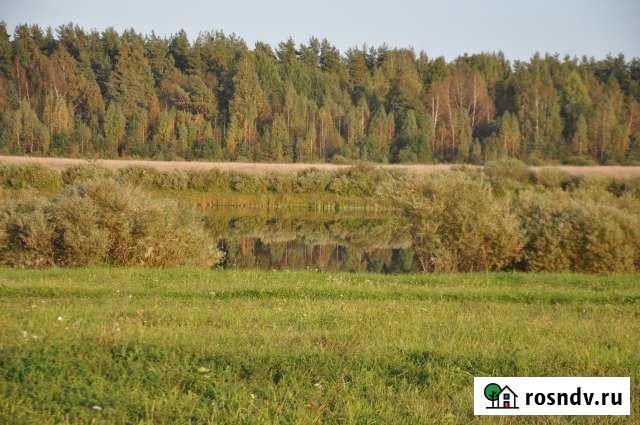 Участок СНТ, ДНП 12 сот. на продажу в Палкино Палкино - изображение 1