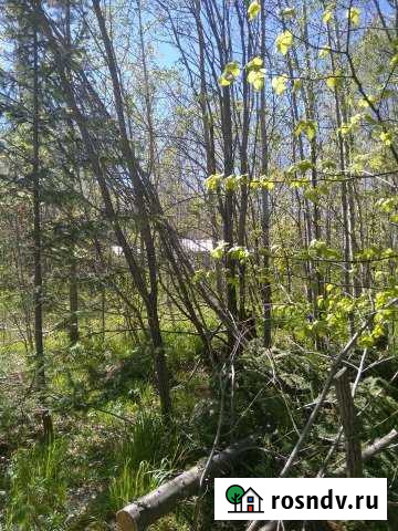 Участок СНТ, ДНП 12 сот. на продажу в Ревде Свердловской области Ревда - изображение 1