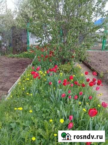 Участок СНТ, ДНП 9 сот. на продажу в Чайковском Чайковский - изображение 1