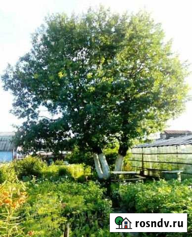 Участок СНТ, ДНП 12 сот. на продажу в Шелехове Шелехов - изображение 1