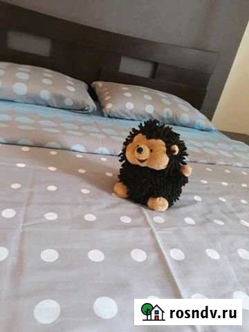 1-комнатная квартира, 40 м², 13/17 эт. в аренду посуточно в Иркутске Иркутск - изображение 1