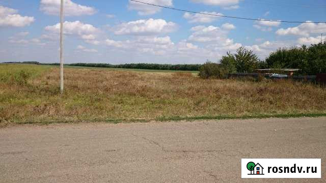 Участок ИЖС 25 сот. на продажу в Раздольной Раздольная - изображение 1