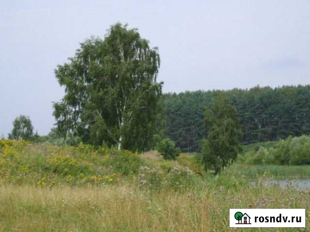 Участок ИЖС 40 сот. на продажу в Медыни Медынь - изображение 1