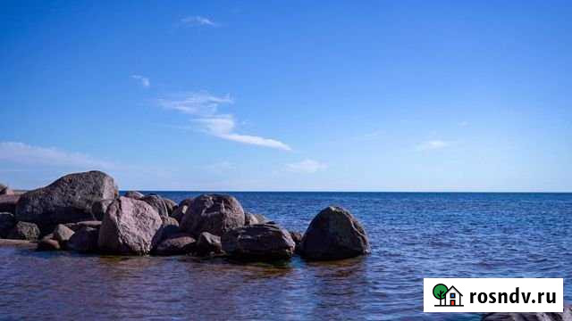 Участок СНТ, ДНП 560 сот. на продажу в Гдове Гдов - изображение 1