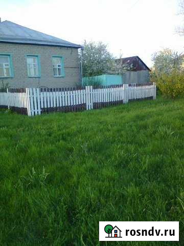 Дом 59 м² на участке 47 сот. на продажу в Репьевке Репьевка - изображение 1