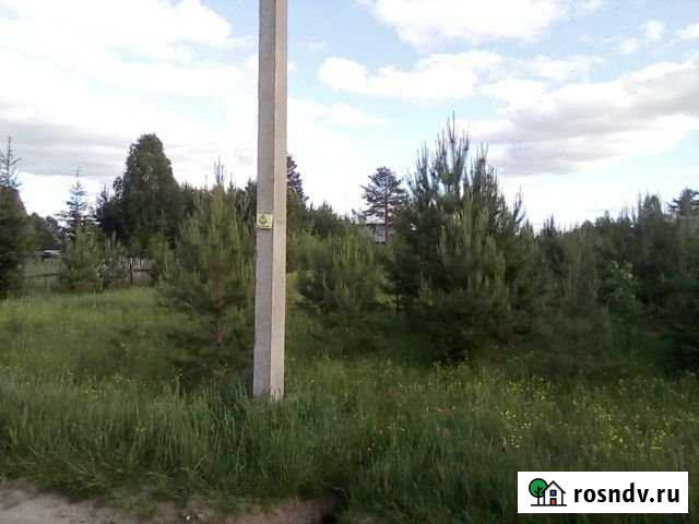 Участок СНТ, ДНП 12 сот. на продажу в Выльгорте Выльгорт - изображение 1