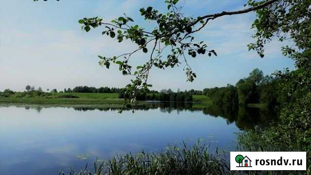 Участок ИЖС 44 сот. на продажу в Лесном Московской области Лесной - изображение 1