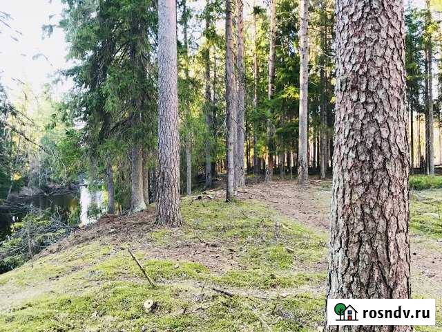 Участок ИЖС 13 сот. на продажу в Рощино Ленинградской области Рощино - изображение 1