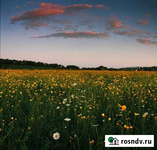 Участок ИЖС 6 сот. на продажу в Оханске Оханск - изображение 1