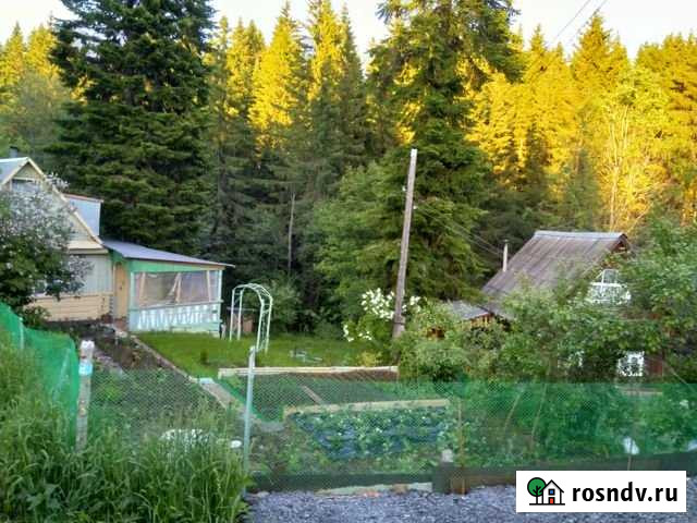 Дача 30 м² на участке 6 сот. на продажу в Перми Пермь - изображение 1