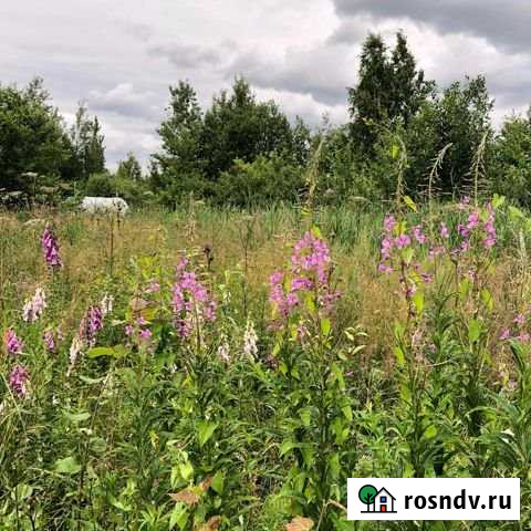 Участок СНТ, ДНП 9 сот. на продажу в Панковке Панковка - изображение 1