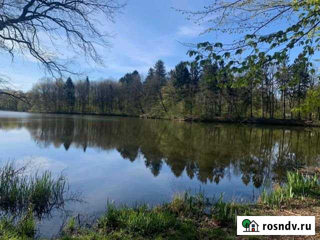 Участок СНТ, ДНП 35 сот. на продажу в Калининграде Калининград - изображение 1