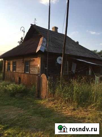 Дом 50 м² на участке 30 сот. на продажу в Стругах Красных Струги Красные - изображение 1