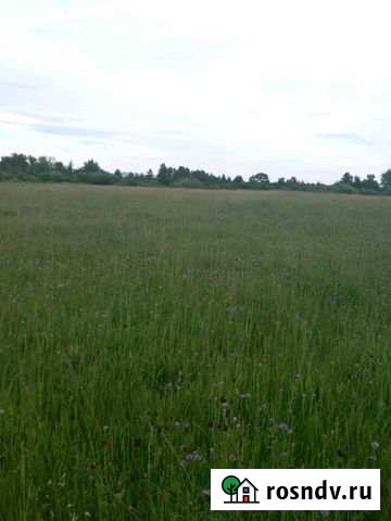 Участок СНТ, ДНП 1100 сот. на продажу в Аскизе Аскиз - изображение 1