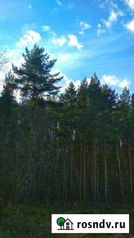 Участок СНТ, ДНП 7 сот. на продажу в Ижевске Ижевск - изображение 1