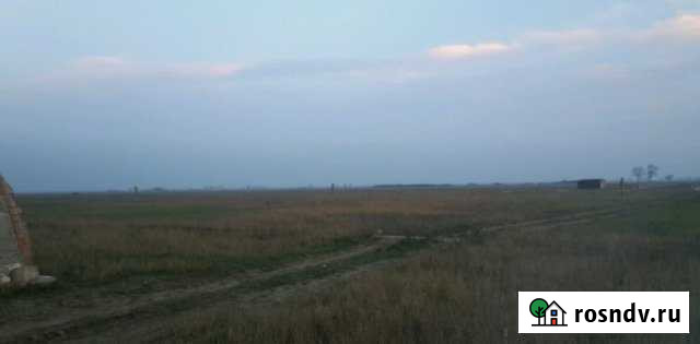 Участок ИЖС 50 сот. на продажу в Шамхале Шамхал - изображение 1