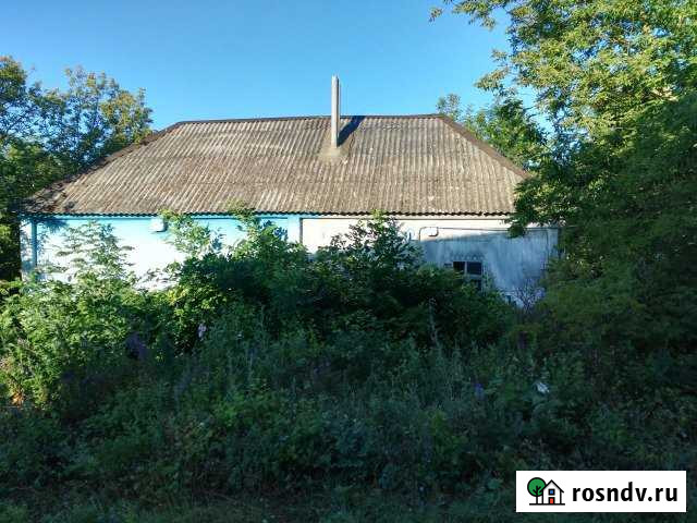 Дом 45 м² на участке 35 сот. на продажу в Скородном Скородное - изображение 1