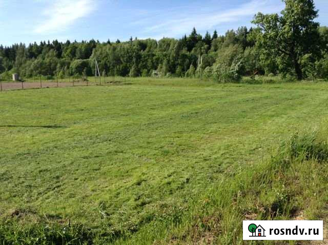 Участок СНТ, ДНП 12 сот. на продажу в Дорохово Дорохово - изображение 1