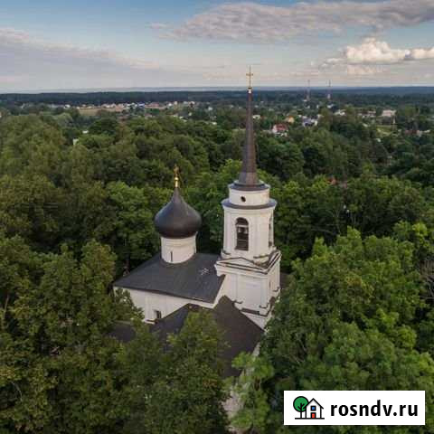 Участок ИЖС 6 сот. на продажу в Пушкинских Горах Пушкинские Горы - изображение 1