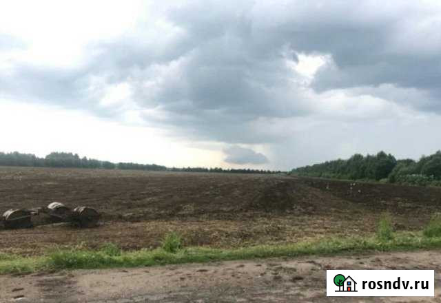 Участок ИЖС 500 сот. на продажу в Выльгорте Выльгорт - изображение 1