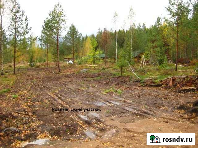 Участок СНТ, ДНП 9 сот. на продажу в Каменке Ленинградской области Каменка - изображение 1