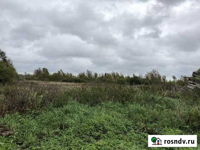 Участок СНТ, ДНП 22 сот. на продажу в Гостилицах Гостилицы - изображение 1