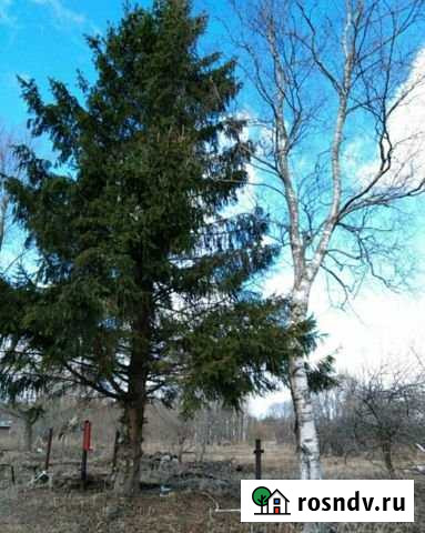 Участок ИЖС 44 сот. на продажу в Старой Руссе Старая Русса - изображение 1