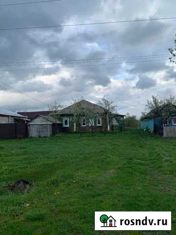 Дом 98 м² на участке 47 сот. на продажу в Репьевке Репьевка - изображение 1