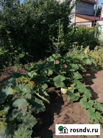 Дача 20 м² на участке 5 сот. на продажу в Балаково Балаково - изображение 1