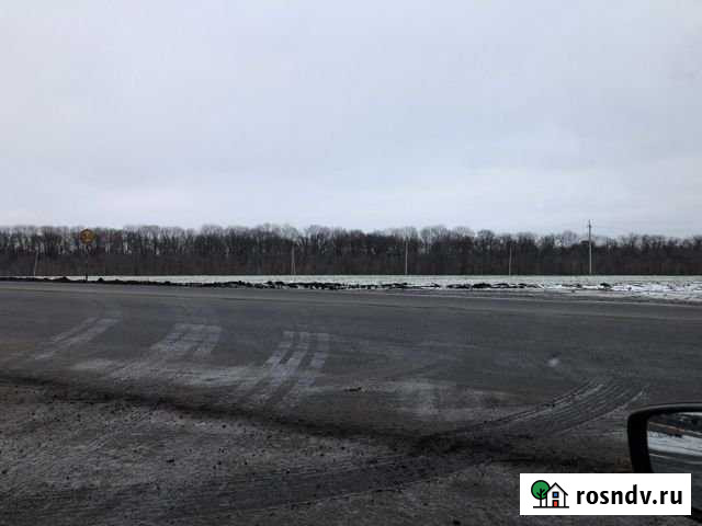 Участок СНТ, ДНП 580 сот. на продажу в Горшечном Горшечное - изображение 1