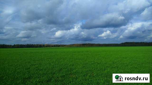 Участок СНТ, ДНП 50 сот. на продажу в Кинешме Кинешма - изображение 1