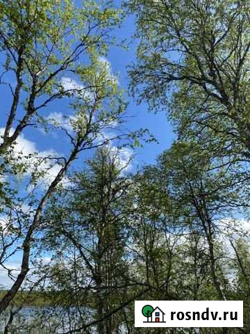 Участок СНТ, ДНП 15 сот. на продажу в Молочном Мурманской области Молочный - изображение 1