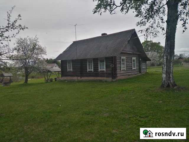 Дом 50 м² на участке 40 сот. в аренду посуточно в Пустошке Пустошка - изображение 1