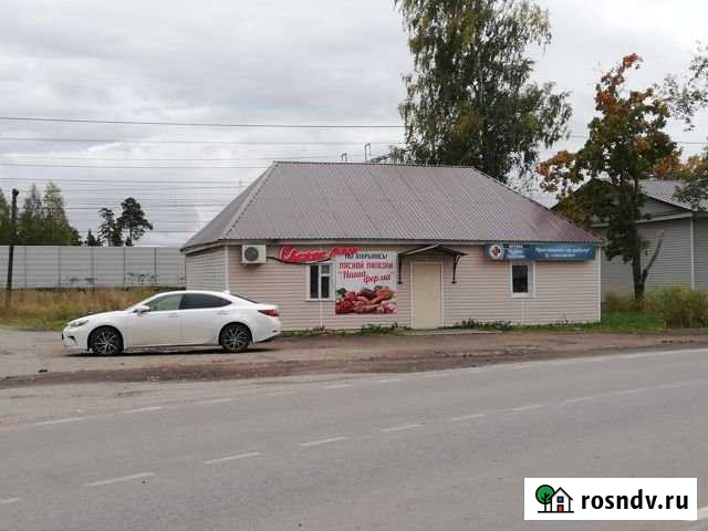 Помещение свободного назначения у Магнита, 100 кв.м. Елизаветино - изображение 1