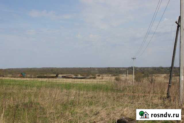 Участок СНТ, ДНП 6 сот. на продажу на Лугах Луга - изображение 1