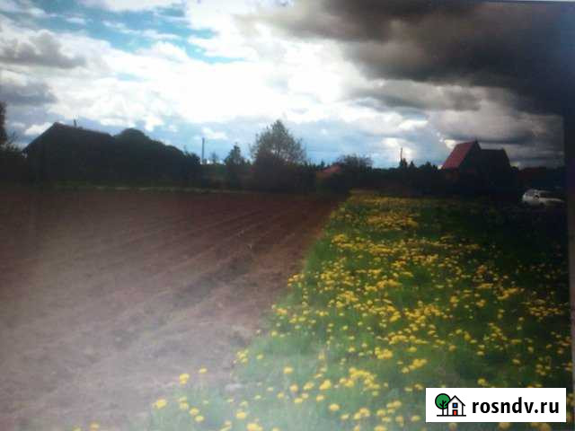 Участок ИЖС 19 сот. на продажу в Новоржеве Новоржев - изображение 1