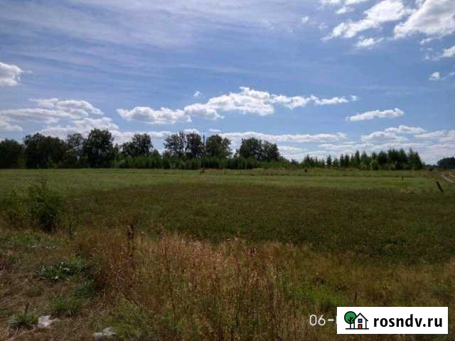 Участок СНТ, ДНП 15 сот. на продажу в Вурнарах Вурнары - изображение 1