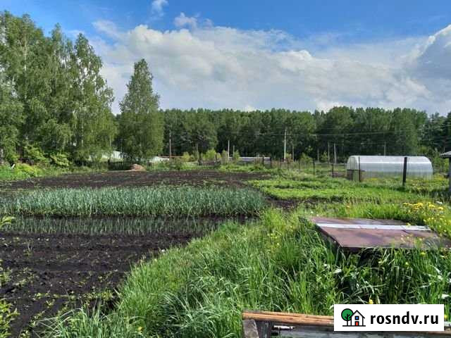 Дом 35 м² на участке 10 сот. на продажу в Киселевске Киселевск - изображение 1