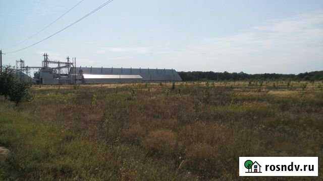 Участок промназначения 300 сот. на продажу в Новой Усмани Новая Усмань - изображение 1