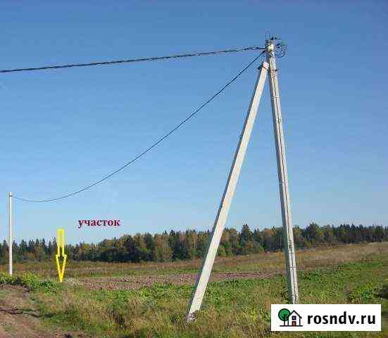 Участок СНТ, ДНП 100 сот. на продажу в Волосово Волосово