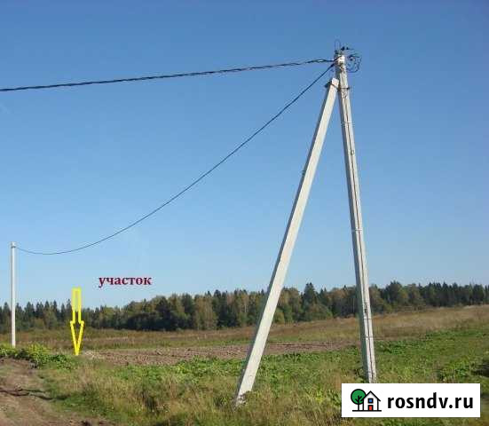 Участок СНТ, ДНП 100 сот. на продажу в Волосово Волосово - изображение 1