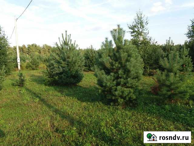 Участок ИЖС 18 сот. на продажу в Твери Тверь - изображение 1