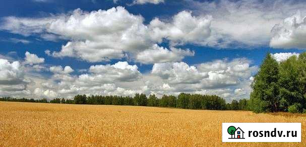 Участок ИЖС 27 сот. на продажу в Гвардейске Гвардейск - изображение 1