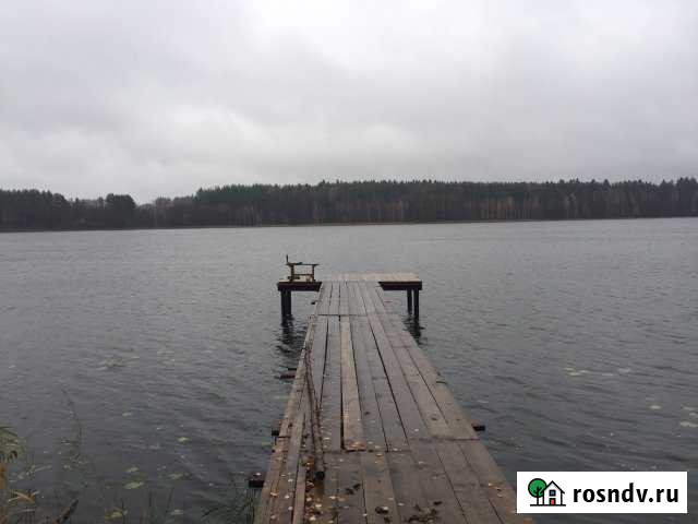 Участок ИЖС 24 сот. на продажу в Великих Луках Великие Луки - изображение 1