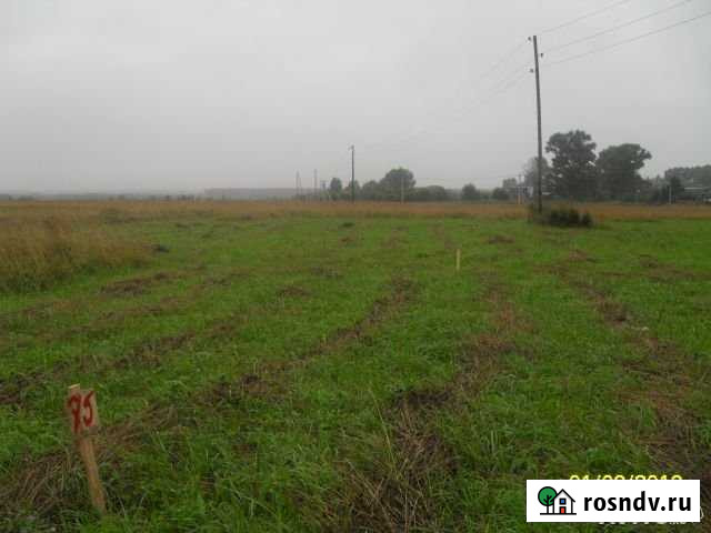 Участок СНТ, ДНП 20 сот. на продажу в Богородском Московской области Богородское - изображение 1