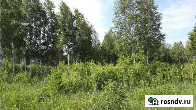 Участок СНТ, ДНП 13 сот. на продажу в Тюмени Тюмень - изображение 1