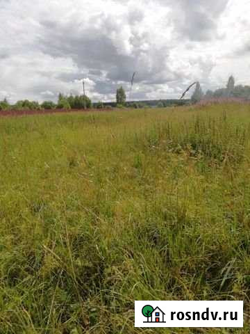 Участок ИЖС 50 сот. на продажу в Новодугино Новодугино - изображение 1